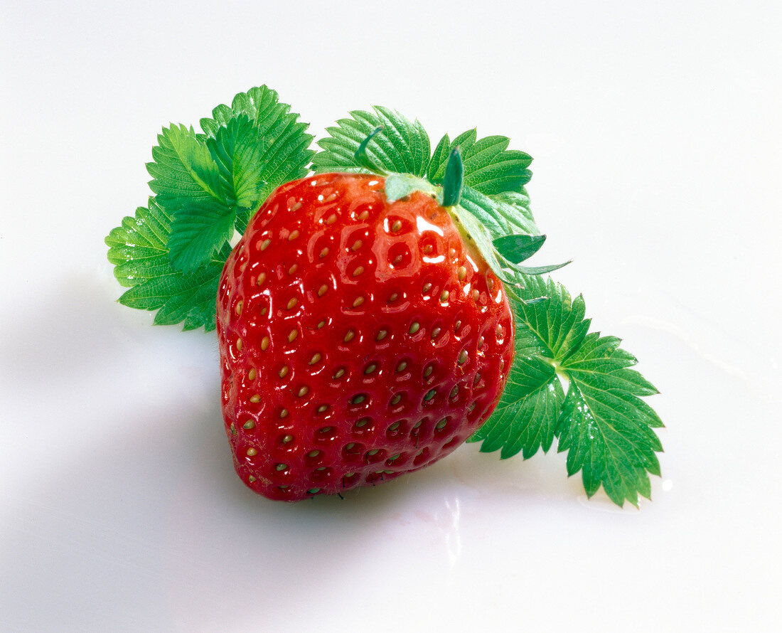 Eine Erdbeere und Erdbeerblätter
