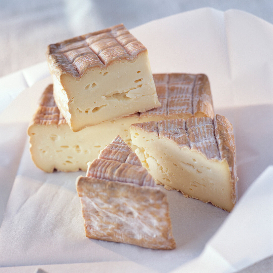Angeschnittener Maroilles Käse auf Papier