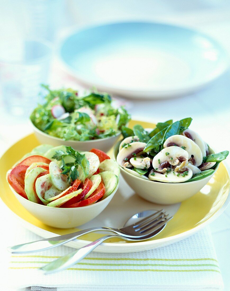 Bowls of raw vegetables