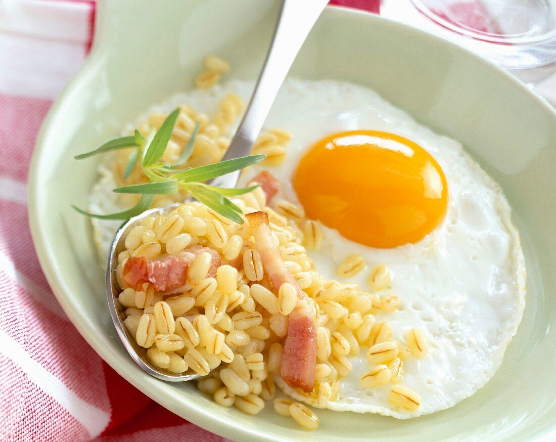 fried egg with wheat and diced bacon