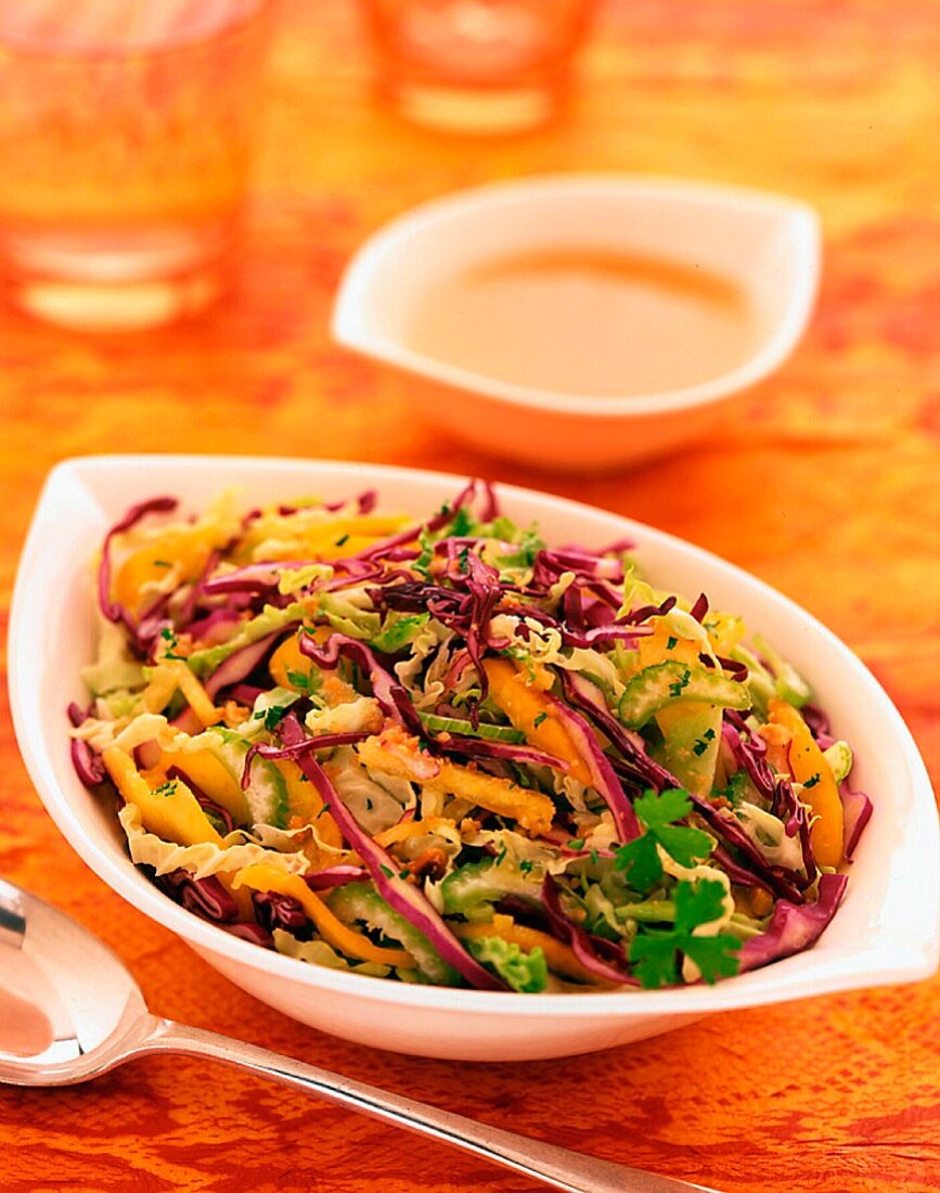 Coleslaw and red cabbage salad