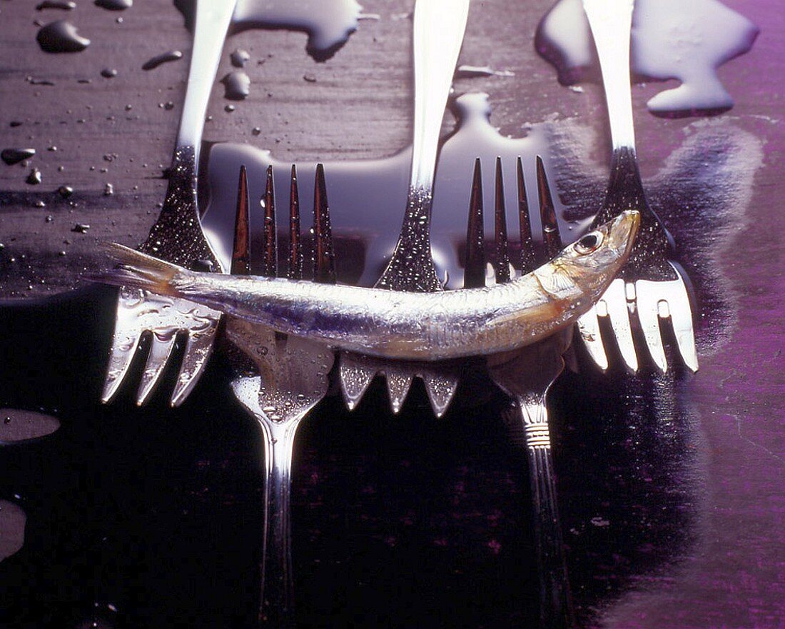 Fish forks for sardines