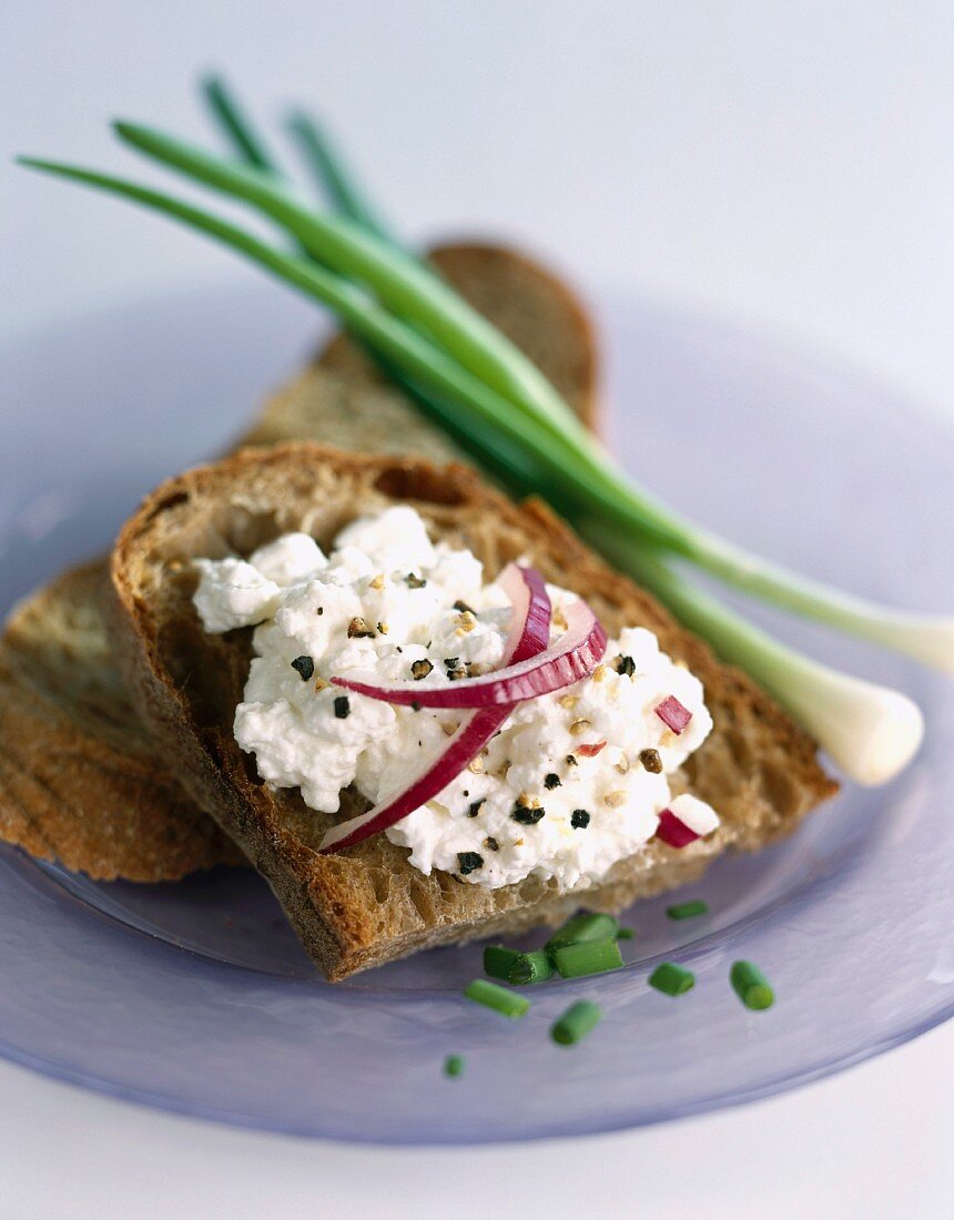 Bread and cottage cheese open sandwich