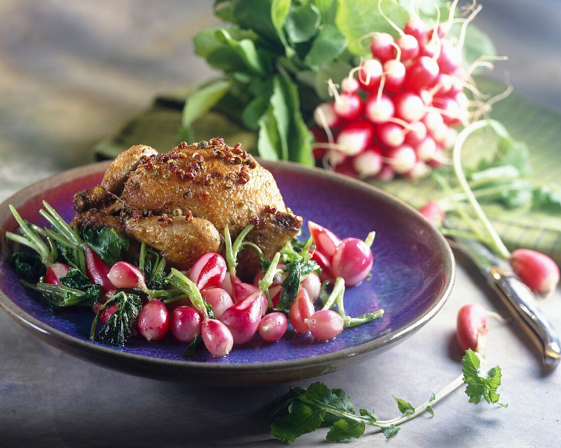 Spiced pigeon with radishes