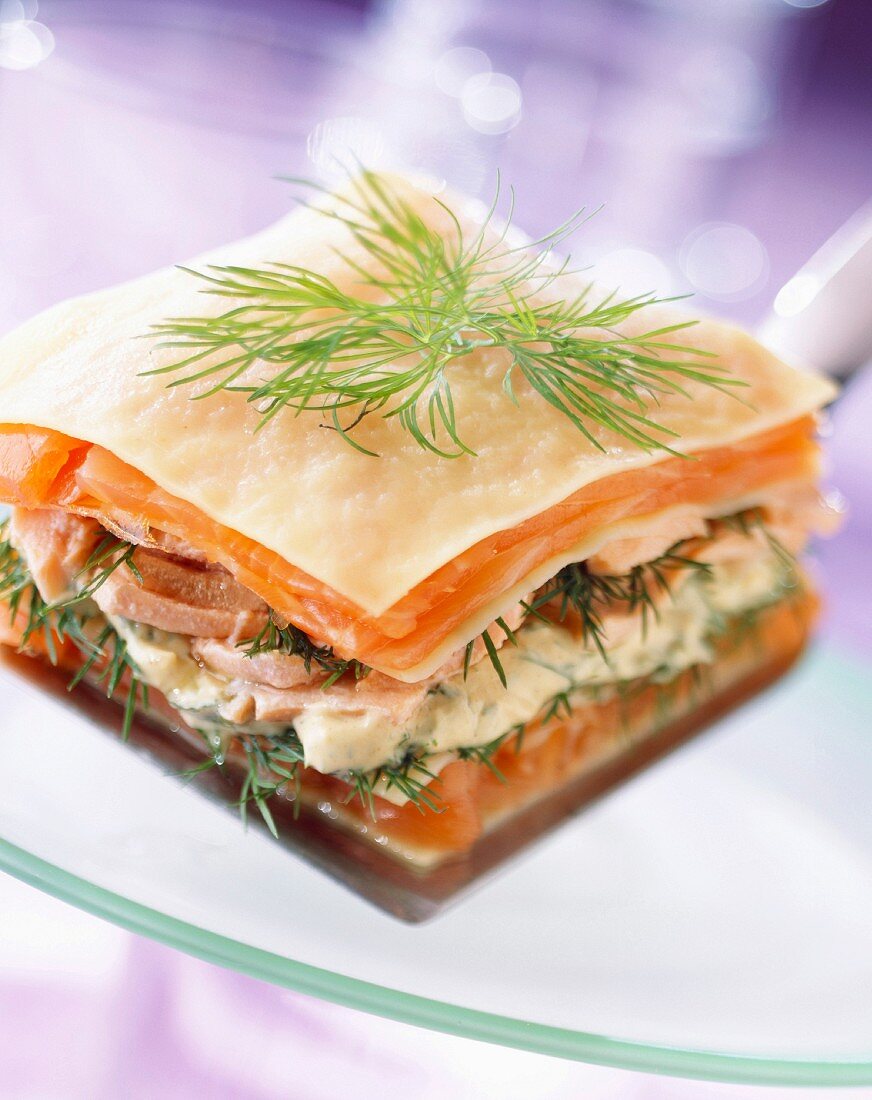 Two salmon lasagne