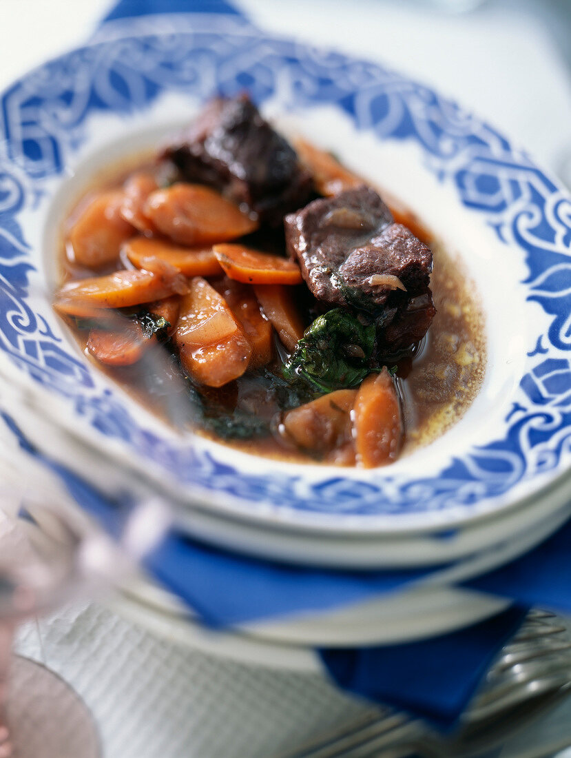 Beef and carrot stew