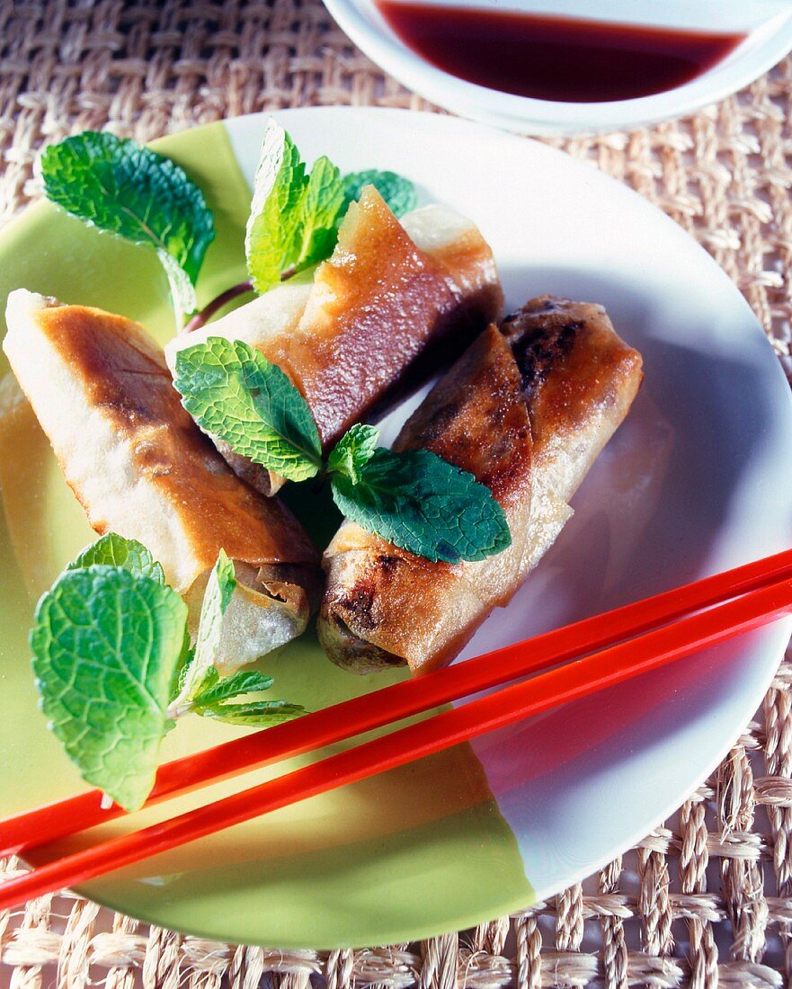 crispy rolls with beef and herbs spring onions