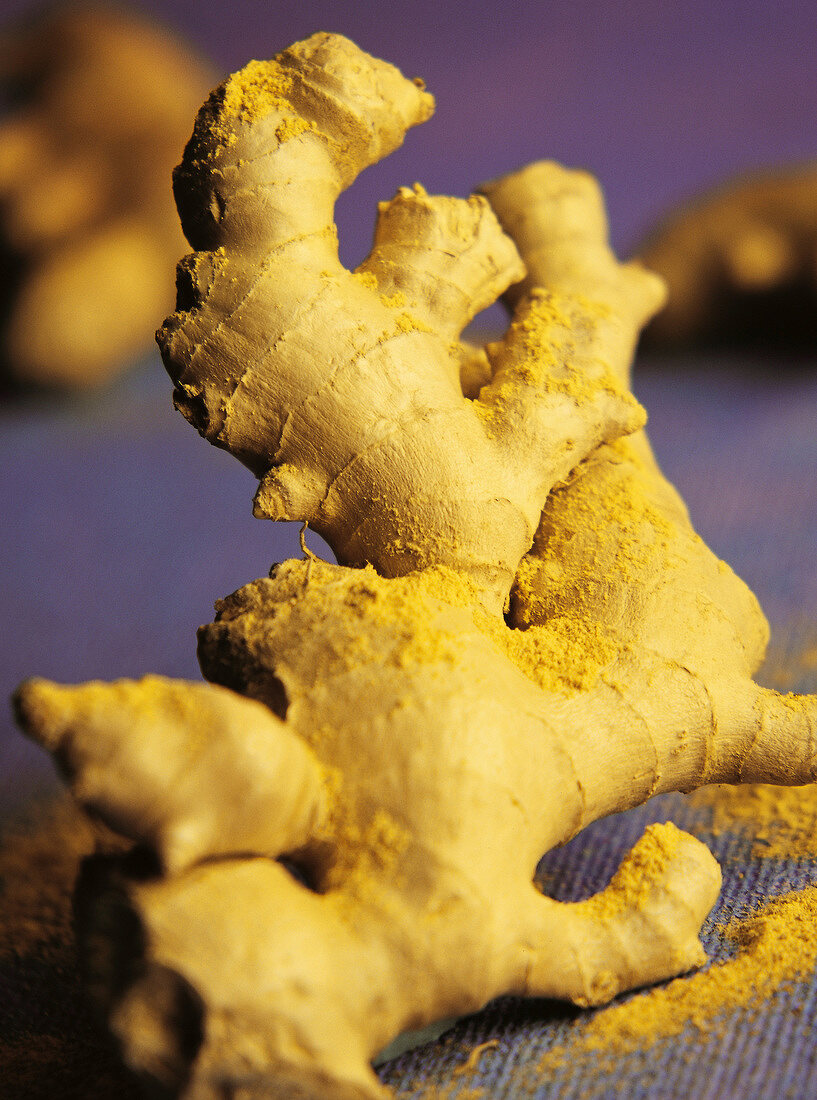 Root ginger