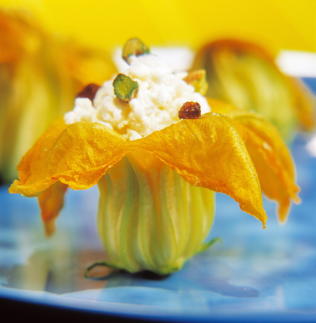 Zucchiniblüten mit Philadelphia