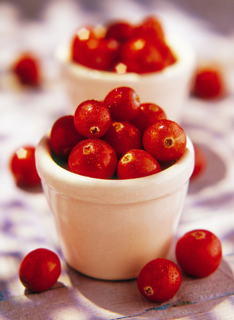 Frische Cranberries in kleiner Schale