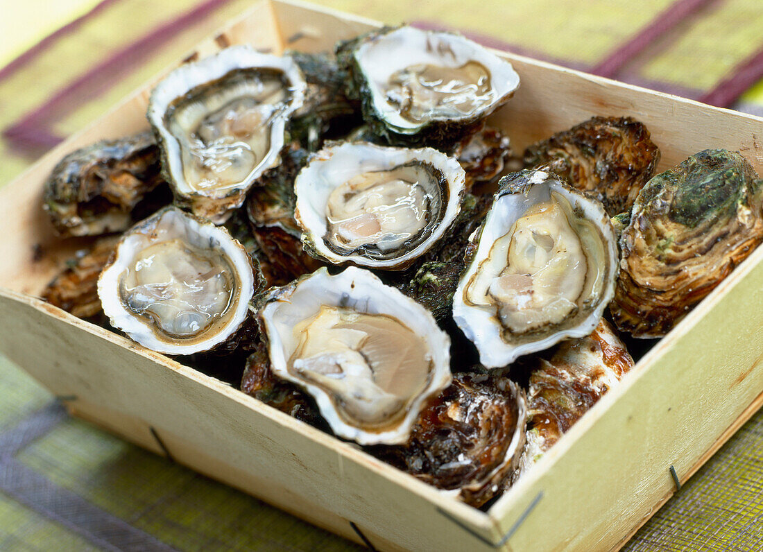 Geschlossene und geöffnete Austern in einem Spankorb