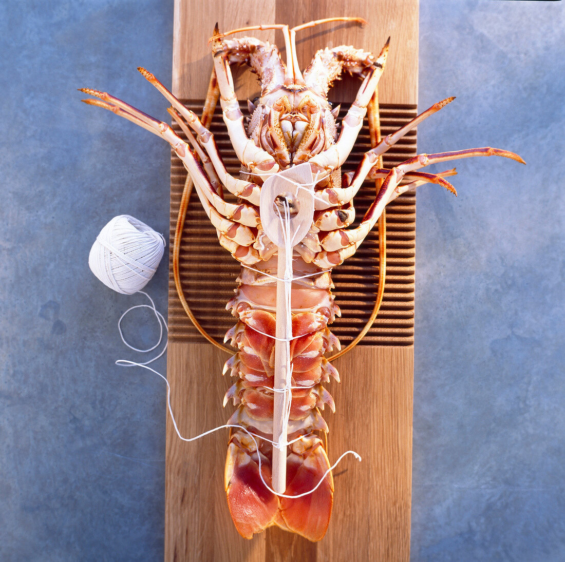 splayed spiny lobster