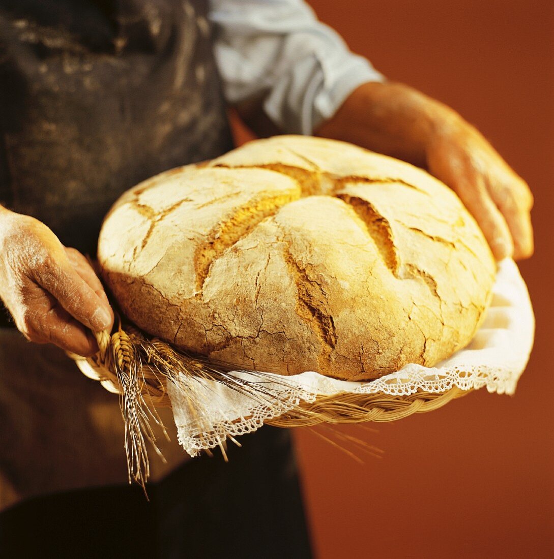 Hände halten Laib Brot