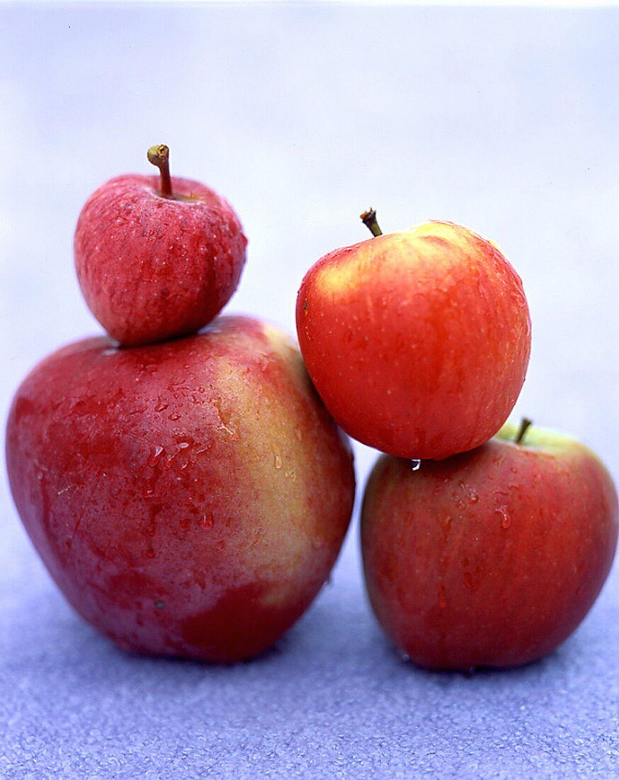 Mehrere rote Äpfel