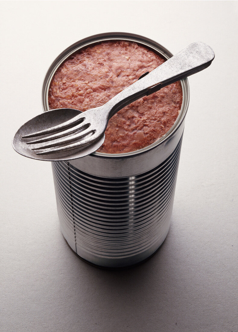 Canned tomato with spoon and fork