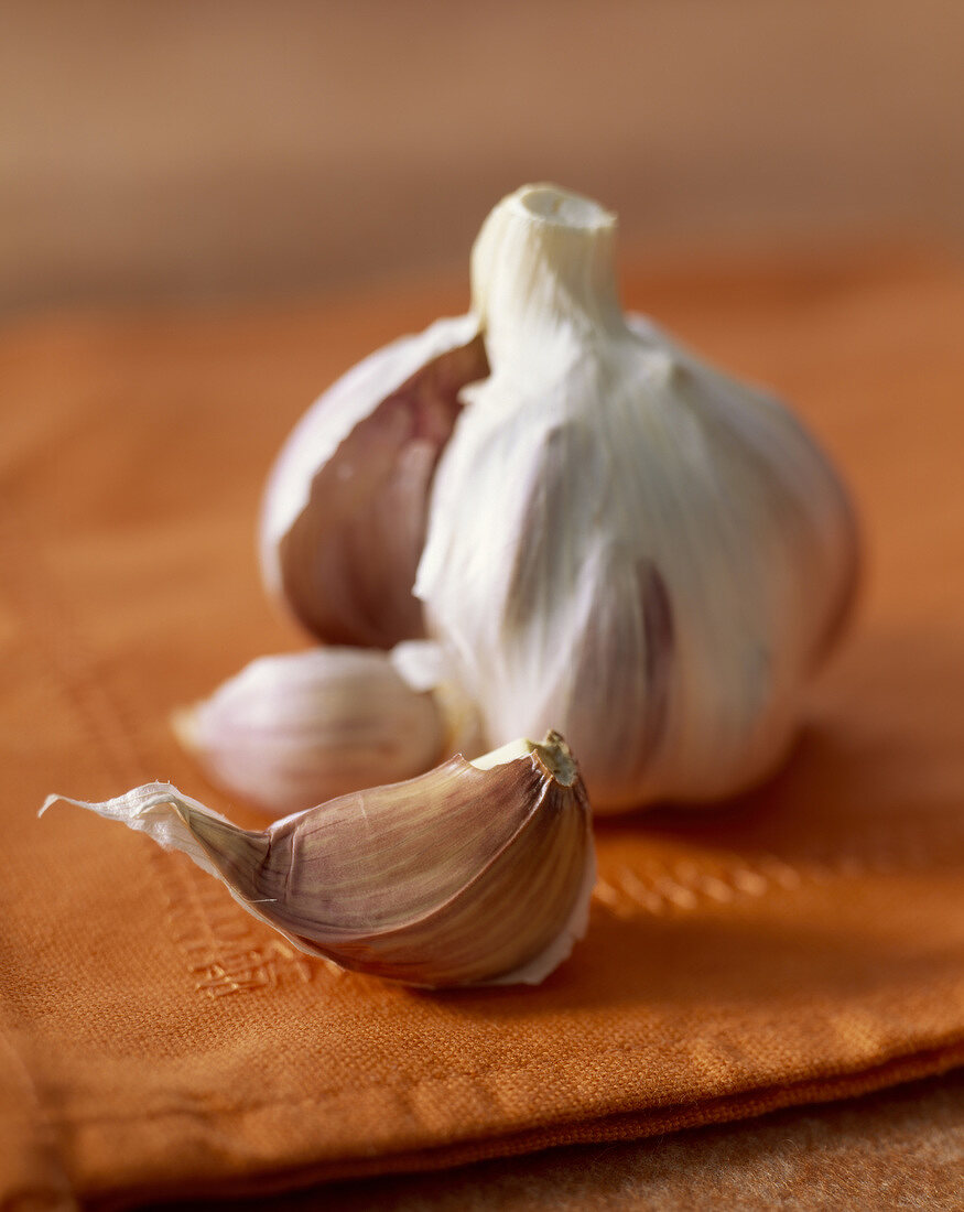 Knoblauchknolle mit Knoblauchzehen auf brauner Stoffserviette