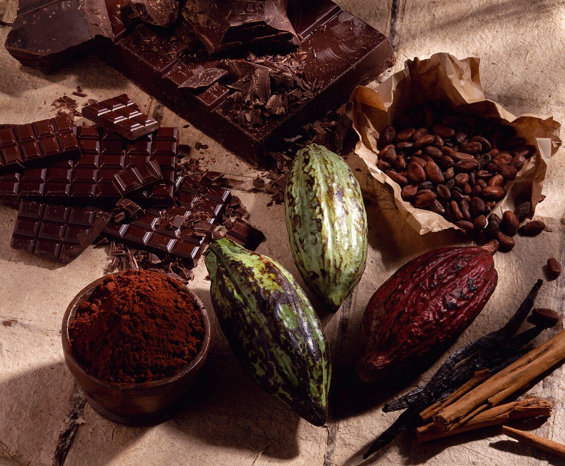 Cacao beans and shell