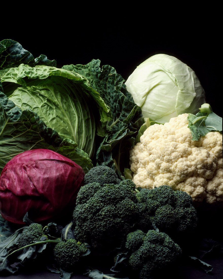 Selection of cabbages
