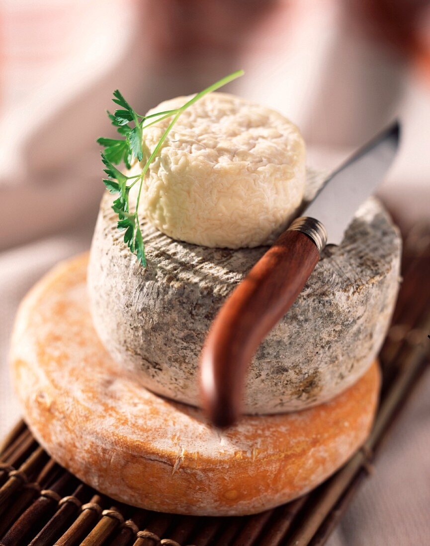 Drei verschiedene Käsesorten, gestapelt: Reblochon, Selles-sur-Cher, Crottin de chavignol