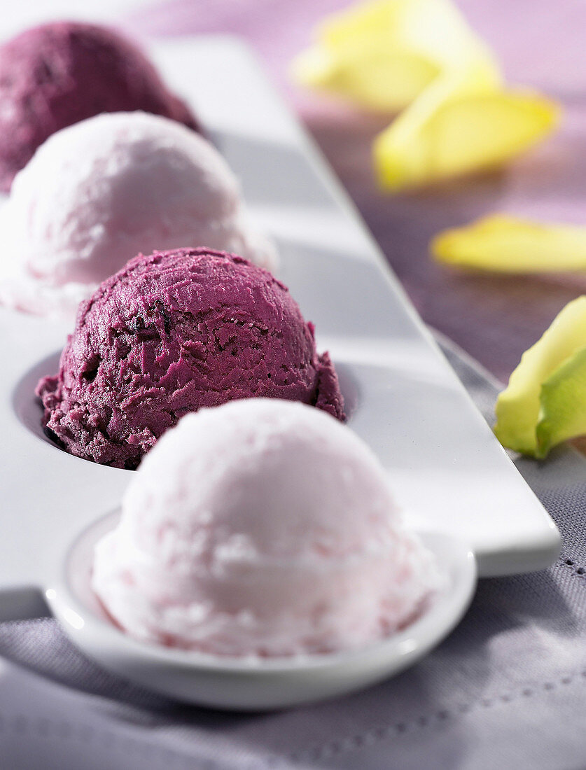 rose and blackcurrant sorbet (topic: ice cream)
