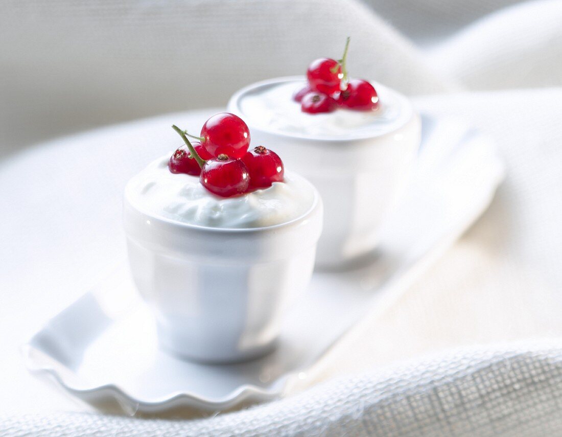 Fromage Blanc mit roten Johannisbeeren