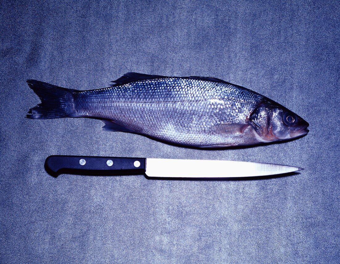 Fisch und Messer