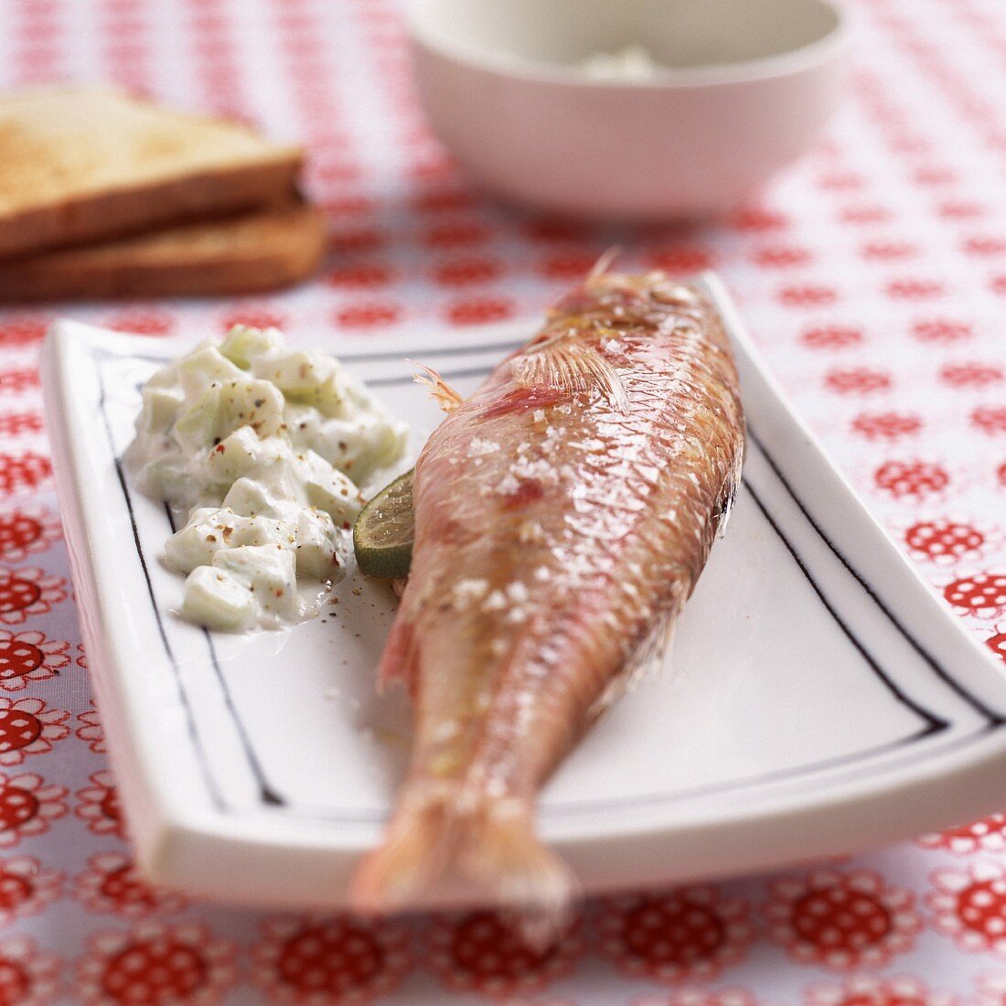 Red mullet with cucumber and yoghurt sauce