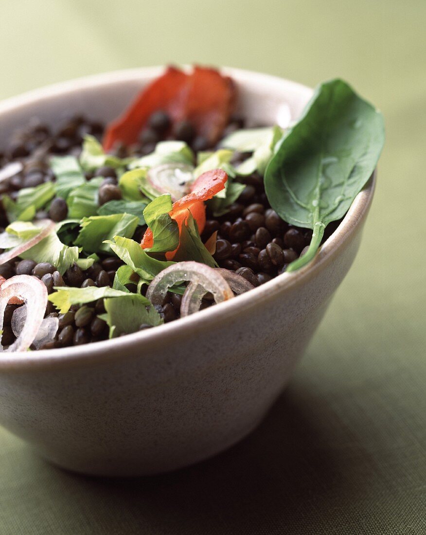 Lentil salad with celery and bacon