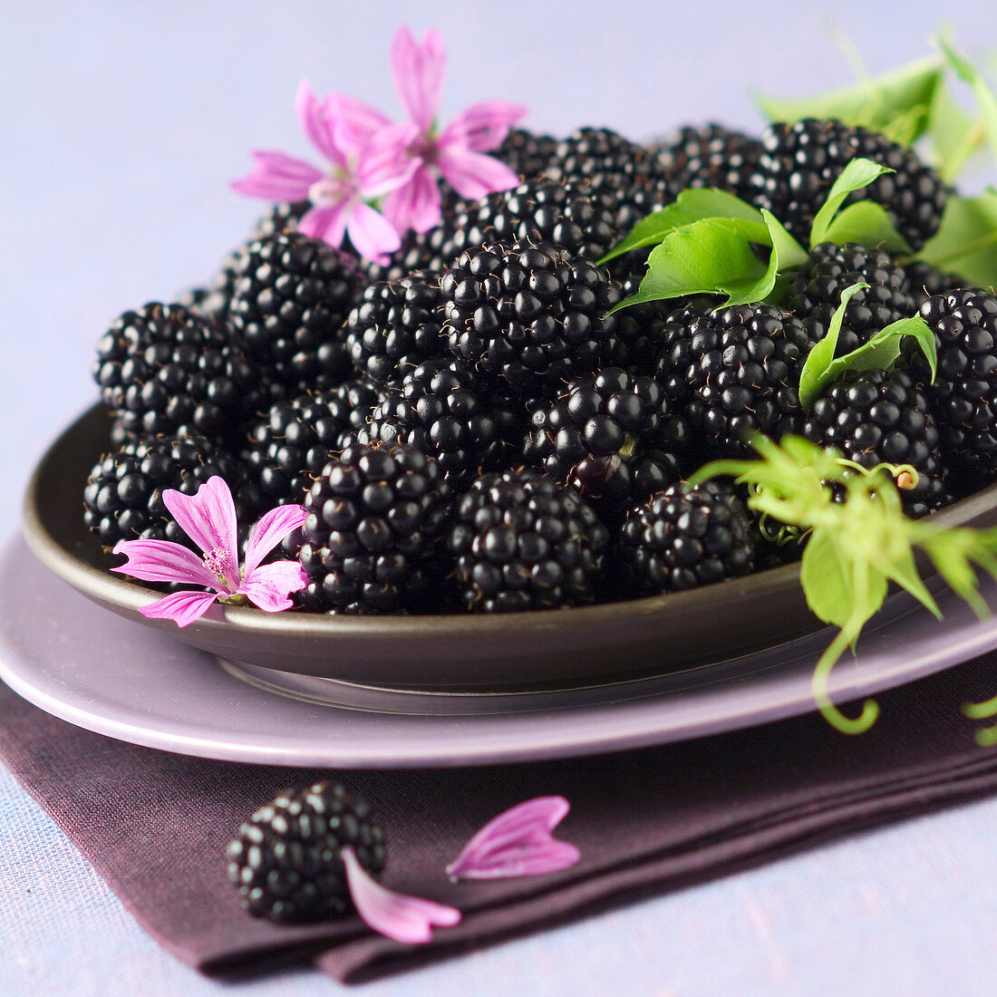 Frische Brombeeren mit Blüten auf Schale