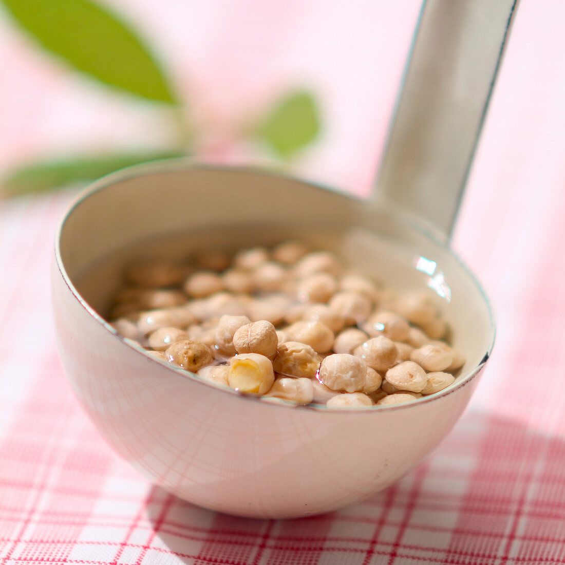 Chickpeas for Socca
