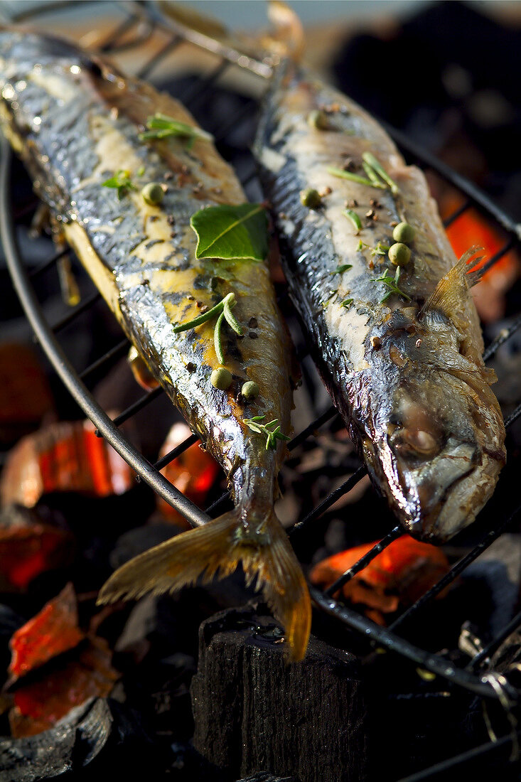 Grilled mackerel (topic: Provence)