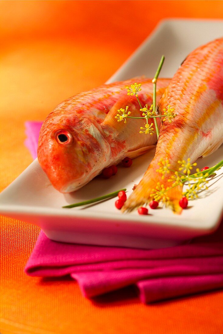 Red mullet (topic: Provence)