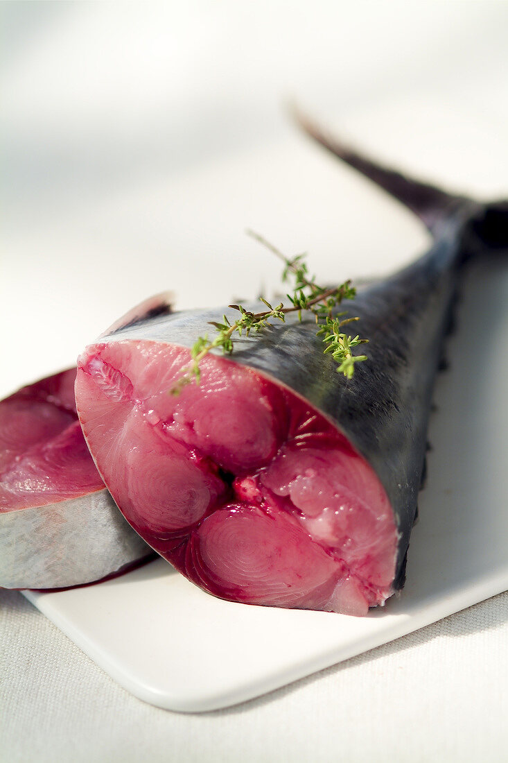 Red tuna (topic: Provence)
