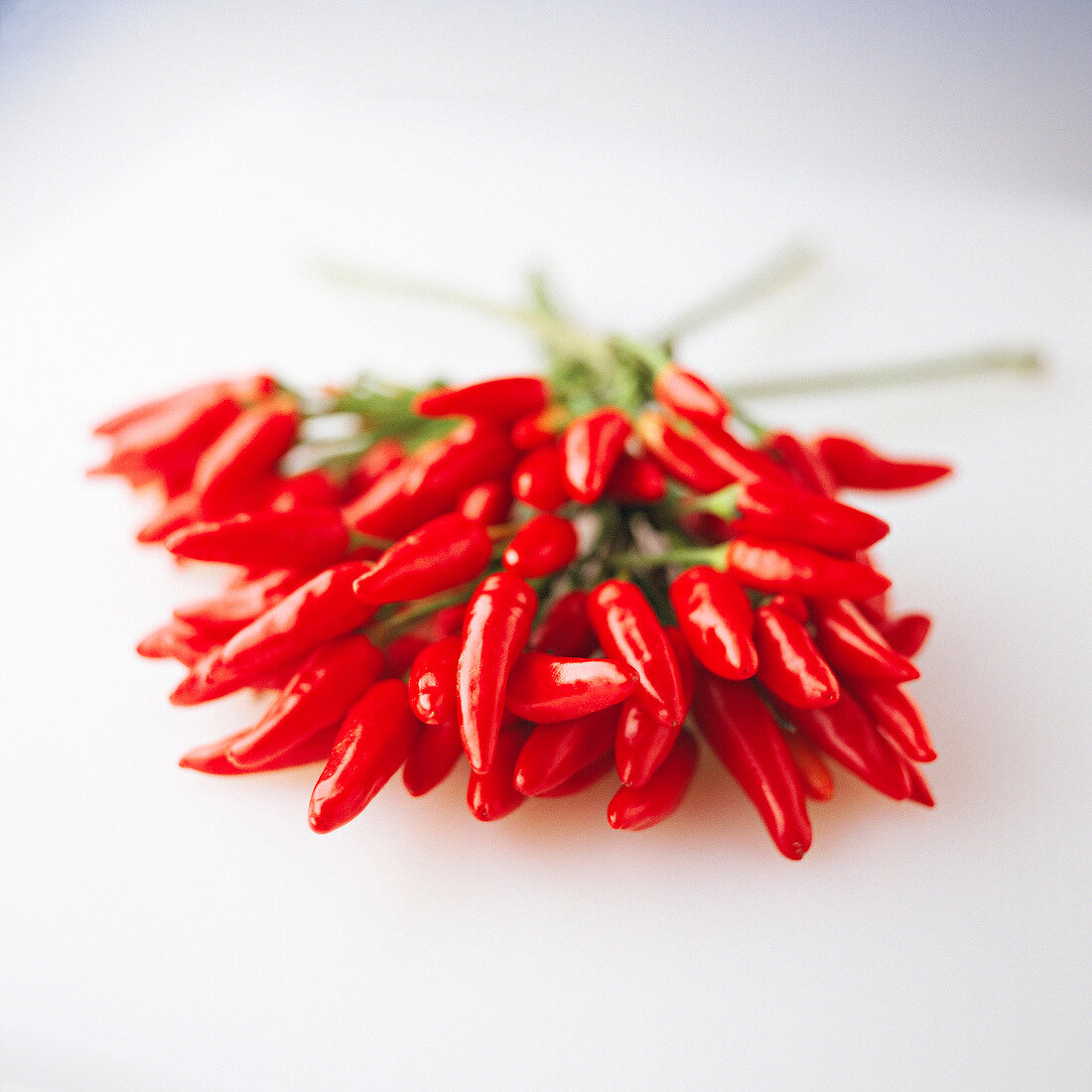 Red Chilli peppers