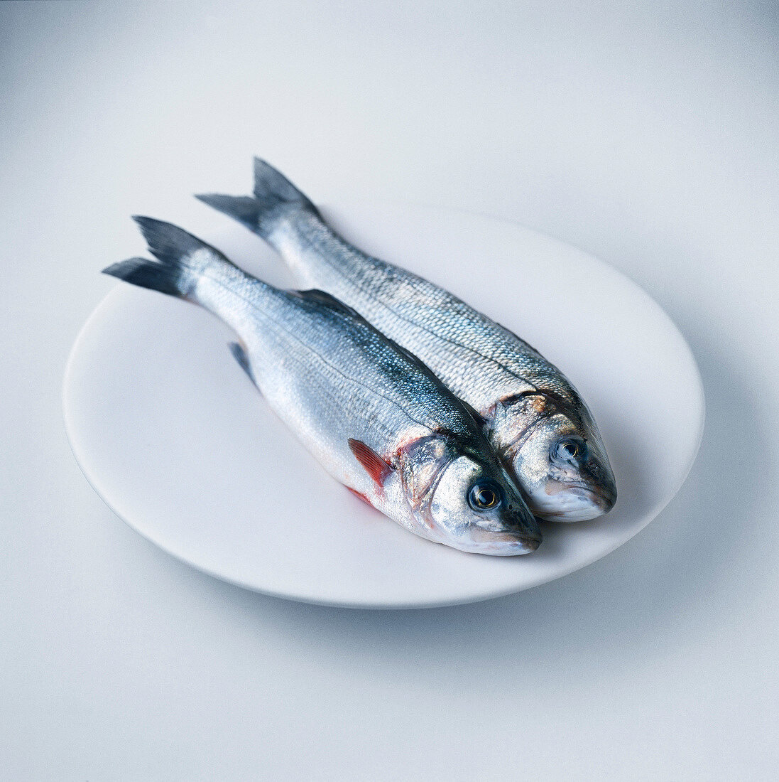 Pair of Branzino sea bass on plate
