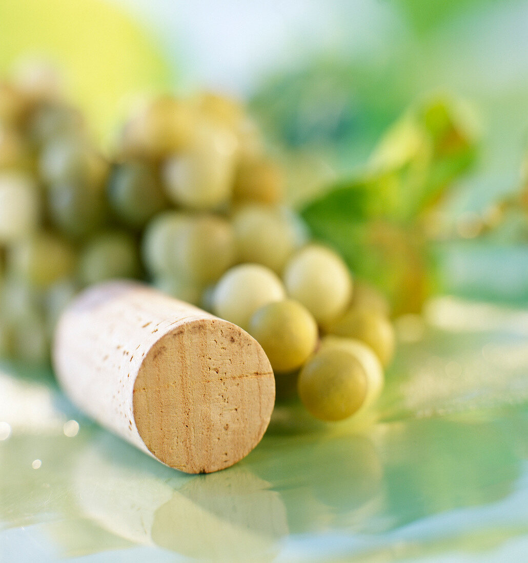 Grüne Weintrauben und ein Weinkorken