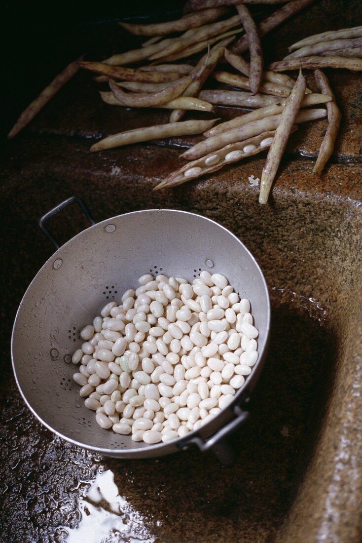 Haricot beans from Paimpol