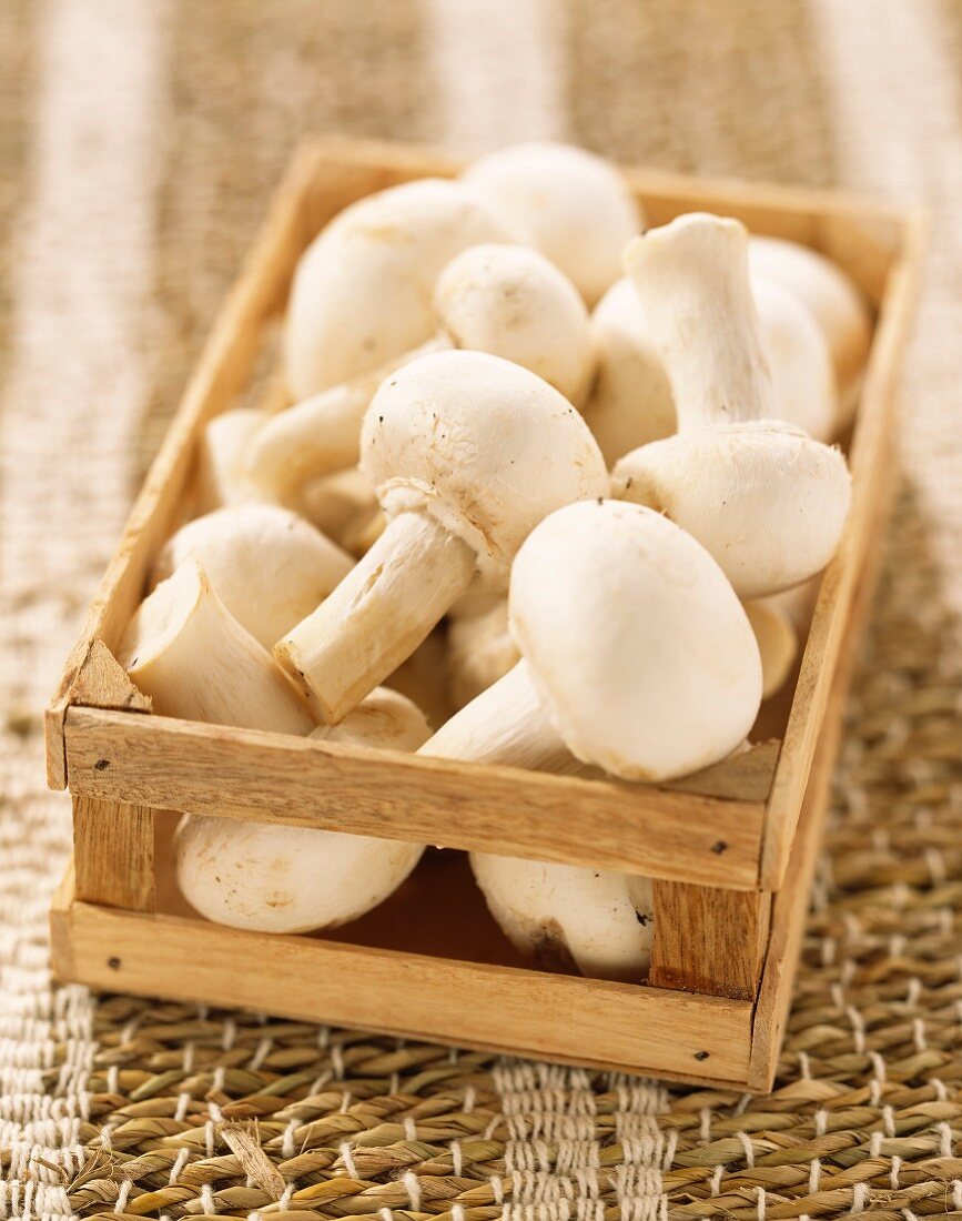Mini crate of button mushrooms