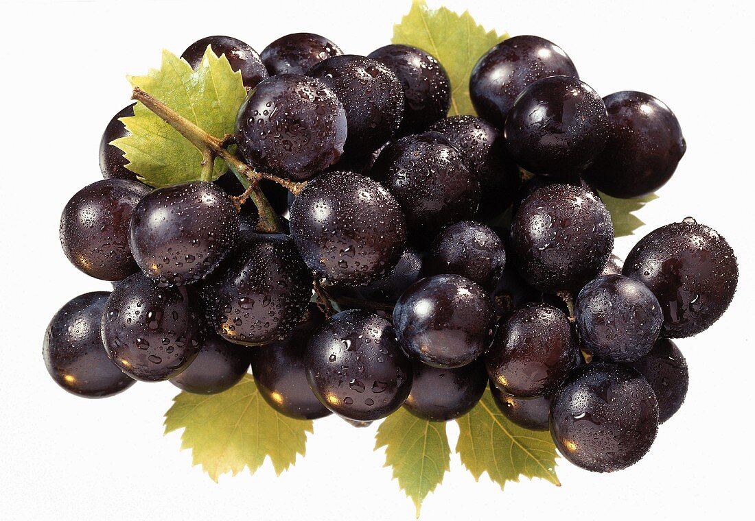 Schwarze Weintrauben
