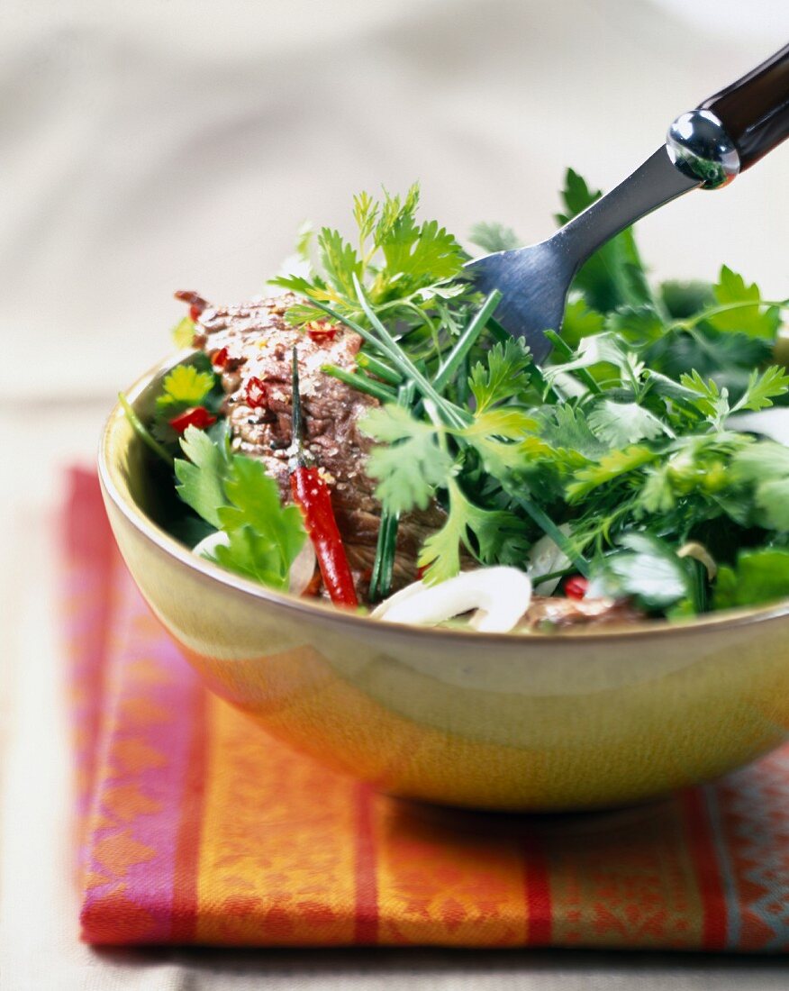 Spicy beef salad with herbs