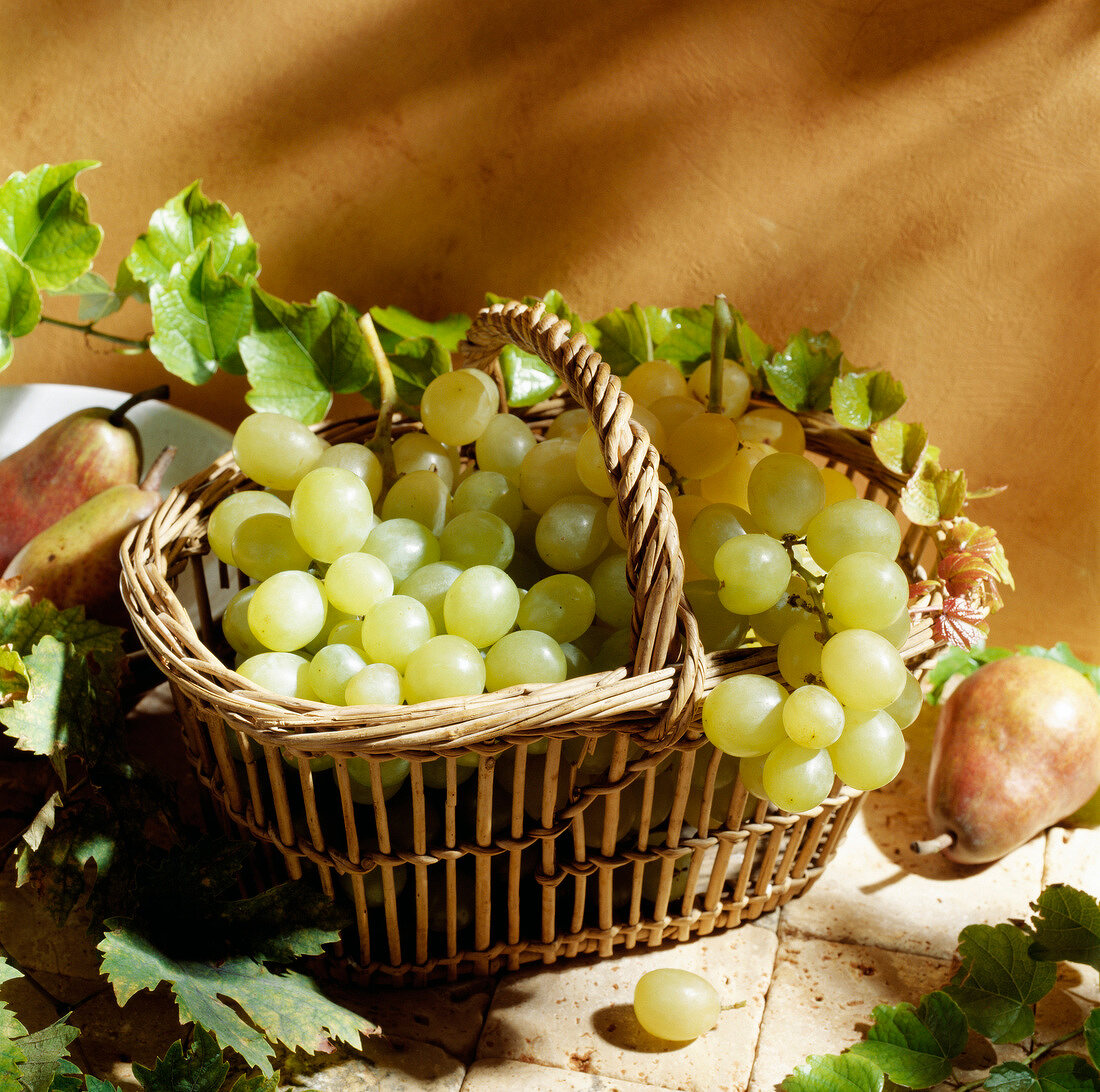 Basket of grapes and pears