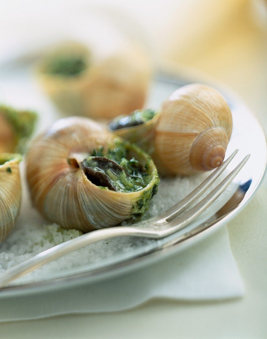 Schnecken mit Knoblauch-Petersilien-Butter