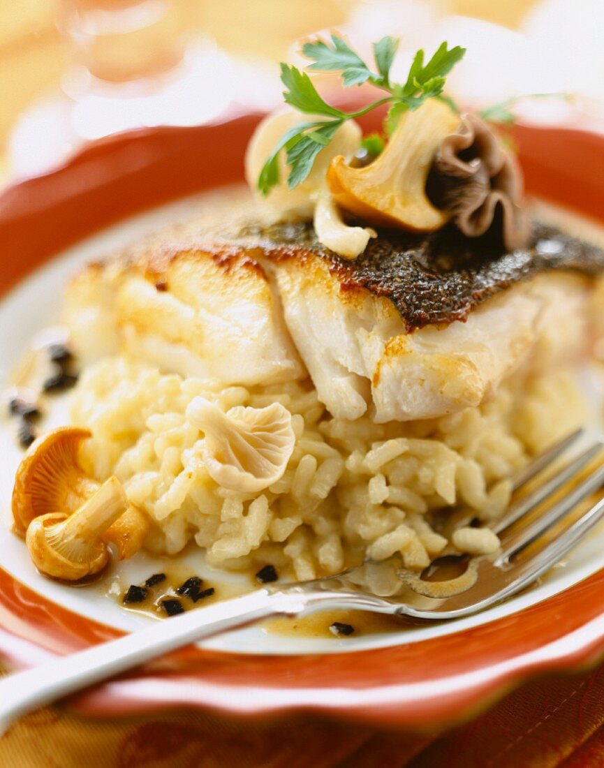 Piece of cod with truffle risotto