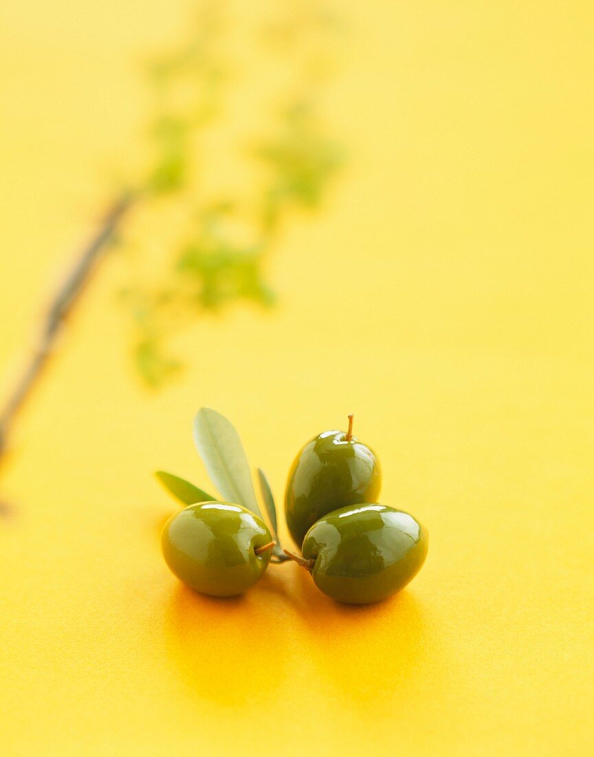 Grüne Oliven auf gelbem Untergrund