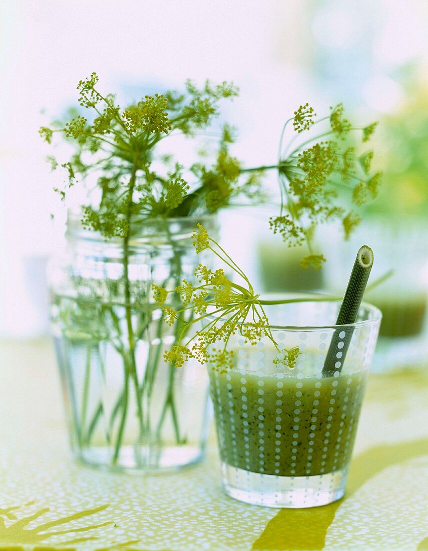 Fenchel-Consommé