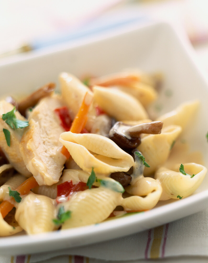 Conchiglie with chicken and mushrooms