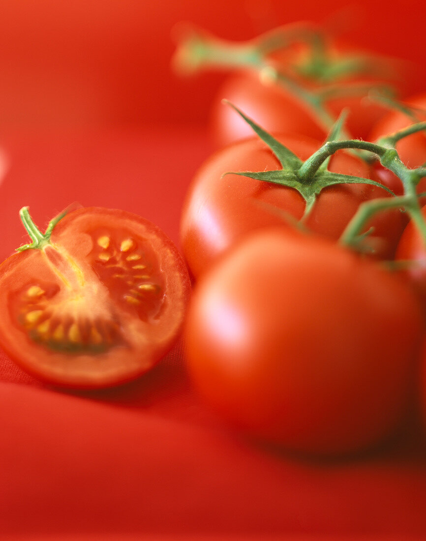 Frische Tomaten auf rotem Untergrund