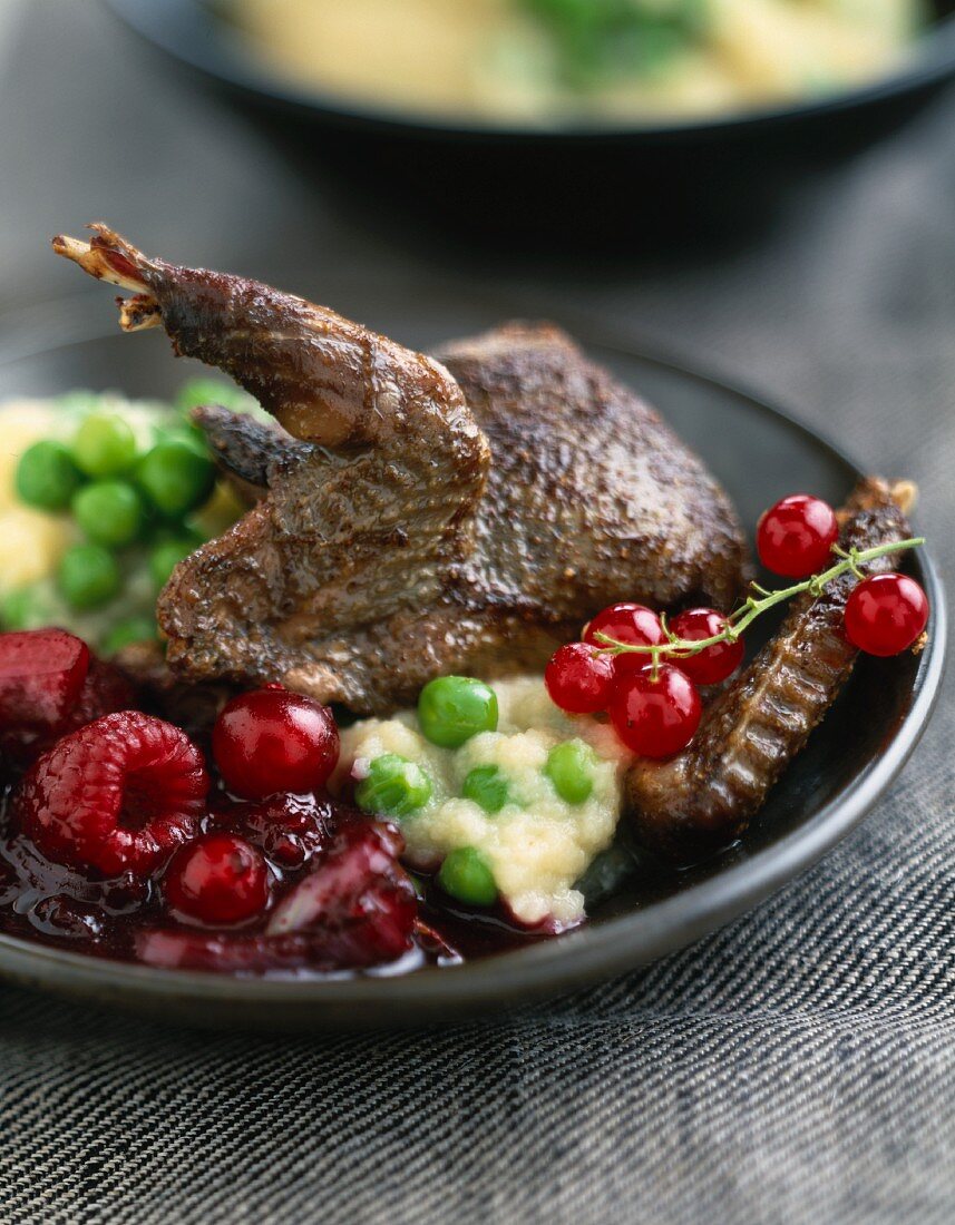 Pigeon with summer fruit and celery purée with peas