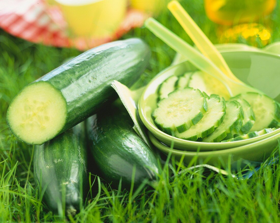 Cucumbers in grass