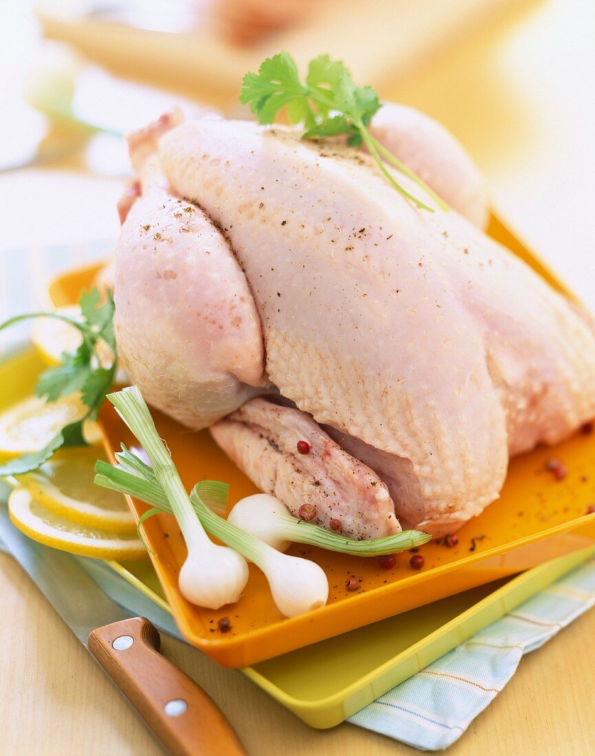 Rohes Brathähnchen auf Platte mit Lauchzwiebeln und Gewürzen